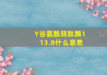 Y谷氨酰转肽酶113.8什么意思