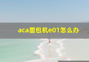 aca面包机e01怎么办