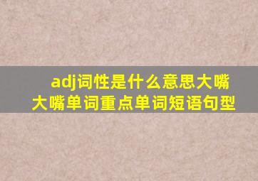 adj词性是什么意思大嘴大嘴单词重点单词短语句型