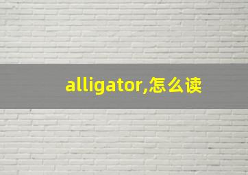 alligator,怎么读