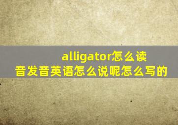 alligator怎么读音发音英语怎么说呢怎么写的