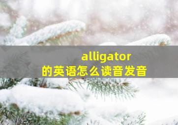 alligator的英语怎么读音发音