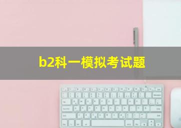 b2科一模拟考试题