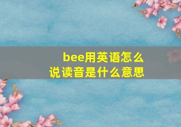 bee用英语怎么说读音是什么意思