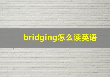 bridging怎么读英语