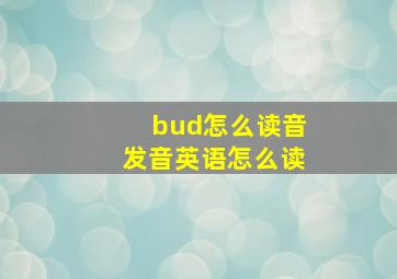 bud怎么读音发音英语怎么读