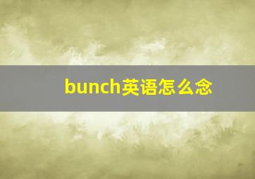 bunch英语怎么念