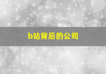 b站背后的公司