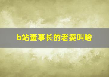 b站董事长的老婆叫啥