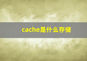 cache是什么存储