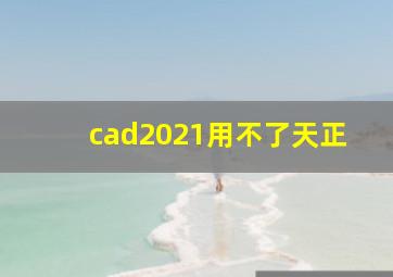 cad2021用不了天正