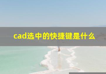 cad选中的快捷键是什么