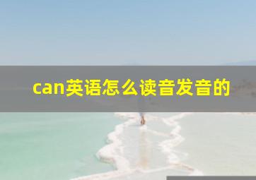 can英语怎么读音发音的