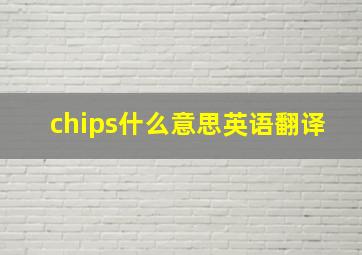 chips什么意思英语翻译