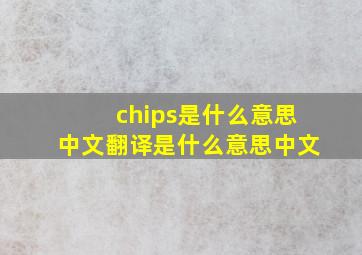 chips是什么意思中文翻译是什么意思中文