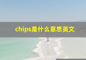 chips是什么意思英文