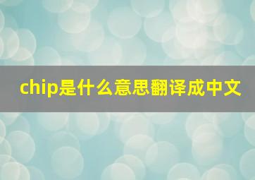 chip是什么意思翻译成中文