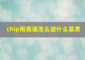 chip用英语怎么读什么意思