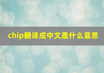 chip翻译成中文是什么意思