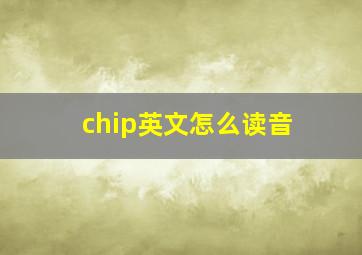 chip英文怎么读音