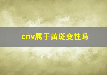 cnv属于黄斑变性吗