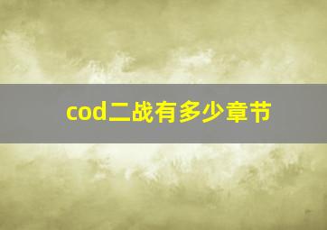 cod二战有多少章节