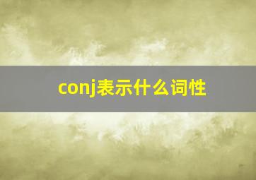 conj表示什么词性