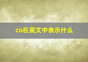 co在英文中表示什么