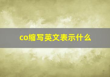 co缩写英文表示什么