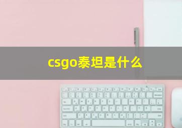 csgo泰坦是什么