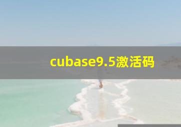 cubase9.5激活码