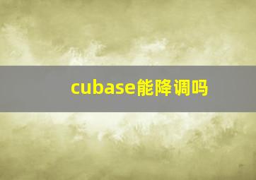 cubase能降调吗