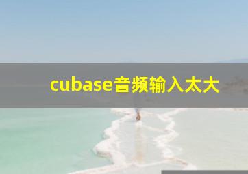 cubase音频输入太大