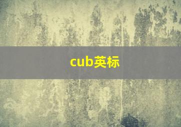 cub英标