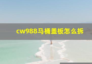 cw988马桶盖板怎么拆