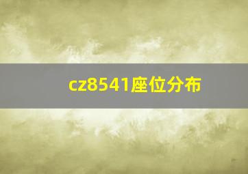 cz8541座位分布