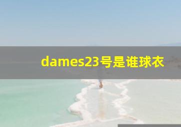 dames23号是谁球衣