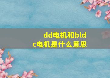 dd电机和bldc电机是什么意思