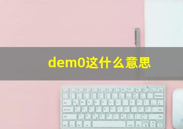 dem0这什么意思