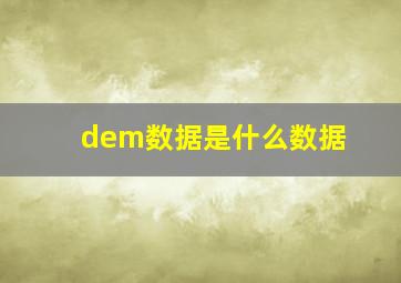 dem数据是什么数据