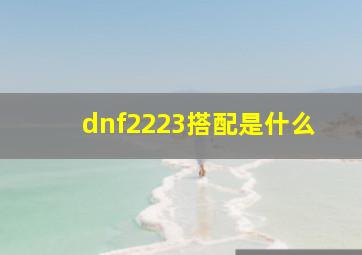 dnf2223搭配是什么