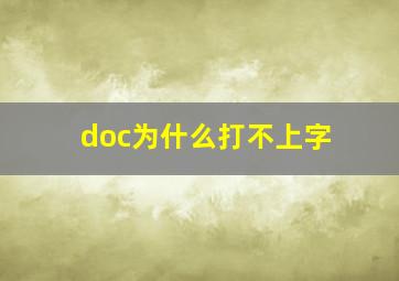 doc为什么打不上字