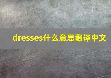 dresses什么意思翻译中文