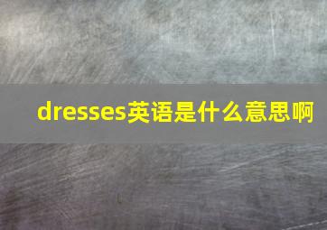 dresses英语是什么意思啊