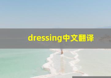 dressing中文翻译