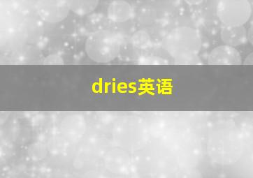 dries英语