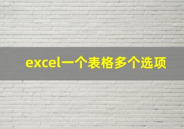 excel一个表格多个选项