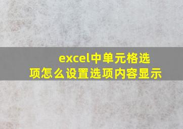 excel中单元格选项怎么设置选项内容显示