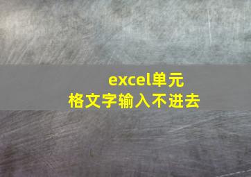 excel单元格文字输入不进去