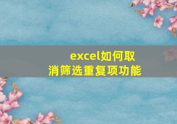 excel如何取消筛选重复项功能